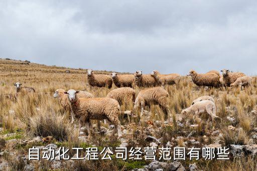 廣西自動化系統(tǒng)成套設(shè)備,非標(biāo)自動化設(shè)備有何不同?