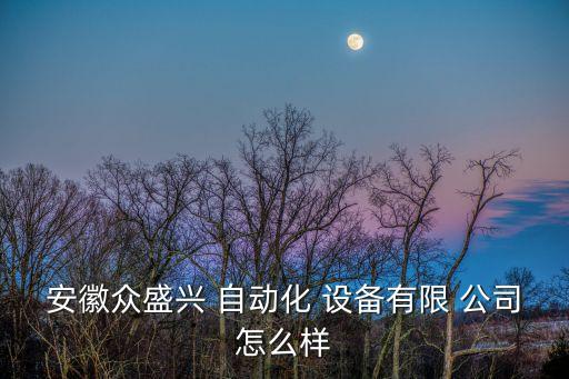 安徽眾盛興 自動化 設(shè)備有限 公司怎么樣