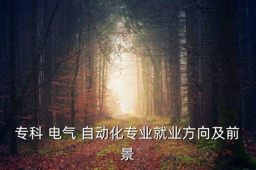 ?？?電氣 自動(dòng)化專業(yè)就業(yè)方向及前景