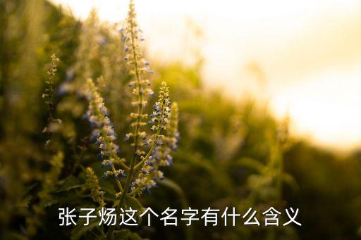 張子煬這個(gè)名字有什么含義
