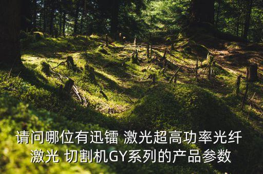 800w銅板激光切割自動(dòng)化設(shè)備