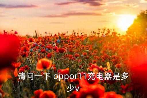 oppor11數(shù)據(jù)線多長,OPPOR11多長多少厘米