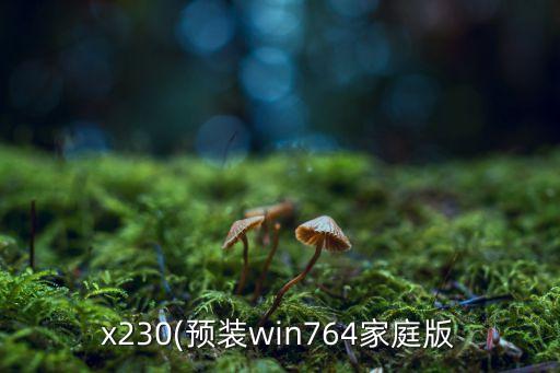 x230(預(yù)裝win764家庭版