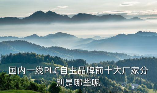 國內(nèi)一線PLC自主品牌前十大廠家分別是哪些呢