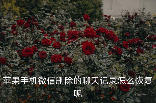 蘋果手機微信刪除的聊天記錄怎么恢復呢