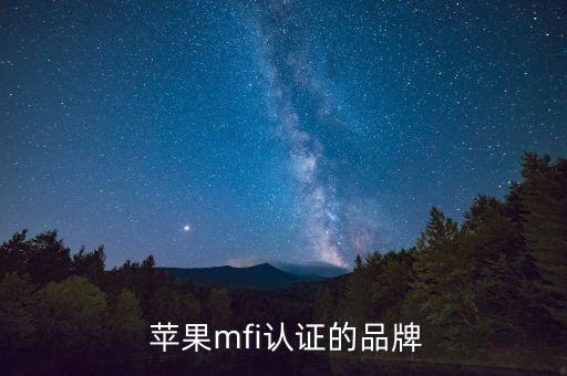  蘋果mfi認證的品牌