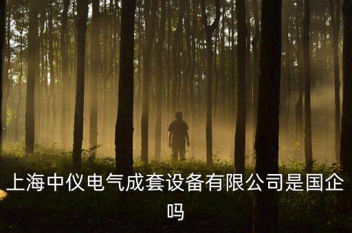 上海中儀電氣成套設(shè)備有限公司是國(guó)企嗎