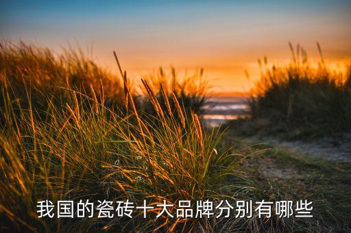 瓷磚非標(biāo)自動化設(shè)備公司,蘇州非標(biāo)自動化設(shè)備廠家怎么樣?