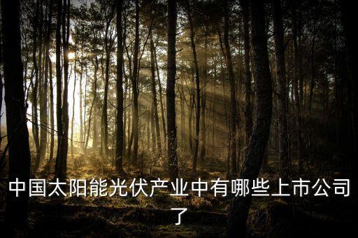 中國太陽能光伏產(chǎn)業(yè)中有哪些上市公司了