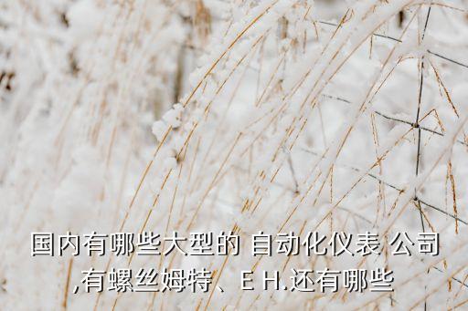國(guó)內(nèi)有哪些大型的 自動(dòng)化儀表 公司,有螺絲姆特、E H.還有哪些