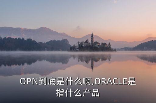 OPN到底是什么啊,ORACLE是指什么產(chǎn)品