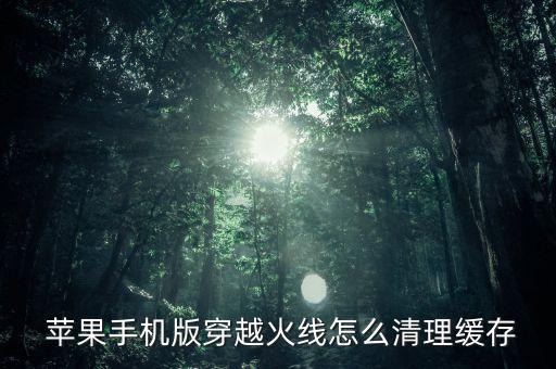  蘋果手機(jī)版穿越火線怎么清理緩存