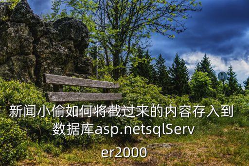 新聞小偷如何將截過來的內(nèi)容存入到 數(shù)據(jù)庫asp.netsqlServer2000
