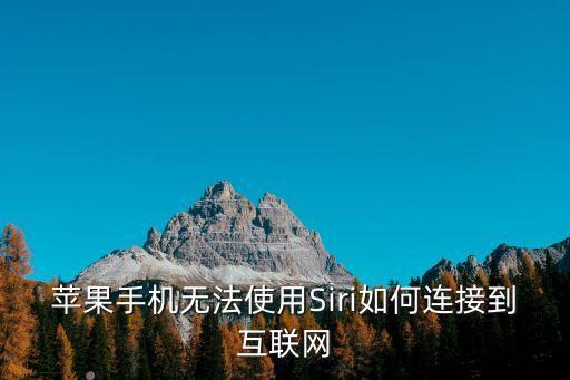 蘋果手機(jī)無(wú)法使用Siri如何連接到互聯(lián)網(wǎng)