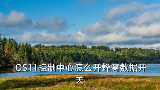 蘋(píng)果蜂窩數(shù)據(jù)快捷打開(kāi),蘋(píng)果手機(jī)怎么開(kāi)網(wǎng)絡(luò)數(shù)據(jù)?