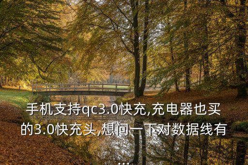 手機(jī)支持qc3.0快充,充電器也買的3.0快充頭,想問一下對(duì)數(shù)據(jù)線有...