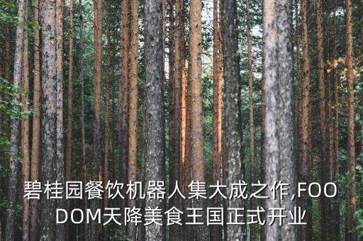 碧桂園餐飲機(jī)器人集大成之作,FOODOM天降美食王國正式開業(yè)
