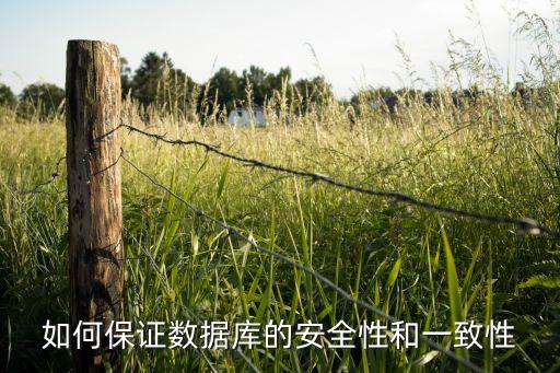 數(shù)據(jù)庫(kù)安全原則,數(shù)據(jù)庫(kù)安全措施將如何實(shí)現(xiàn)?