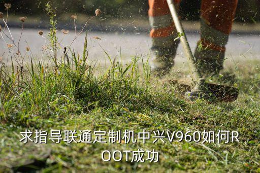 v960,中興u960s和中興v960買哪個好?