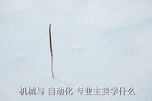 機械設計自動化專業(yè)課程