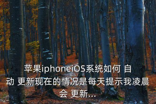 蘋果iphoneiOS系統(tǒng)如何 自動(dòng) 更新現(xiàn)在的情況是每天提示我凌晨會(huì) 更新...