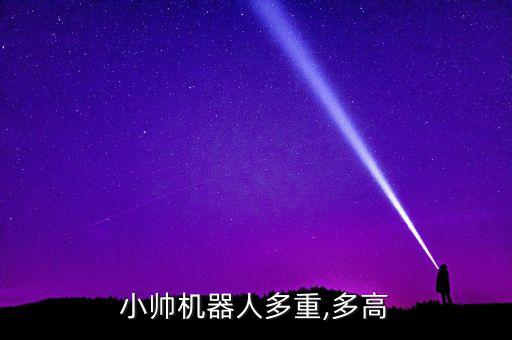 小帥機器人多重,多高
