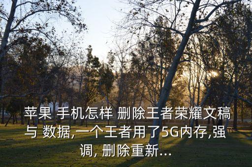  蘋果 手機(jī)怎樣 刪除王者榮耀文稿與 數(shù)據(jù),一個王者用了5G內(nèi)存,強(qiáng)調(diào), 刪除重新...