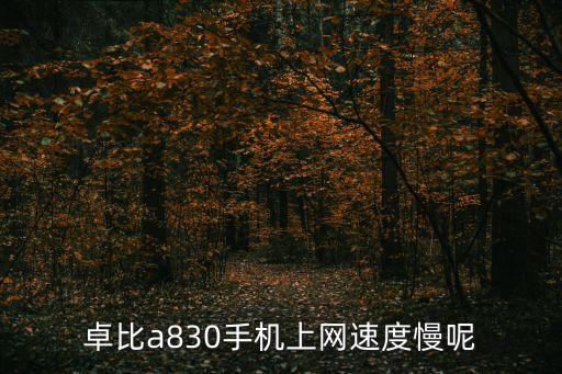 卓比手機數(shù)據(jù),手機上網(wǎng)速度慢怎么辦?一文看懂