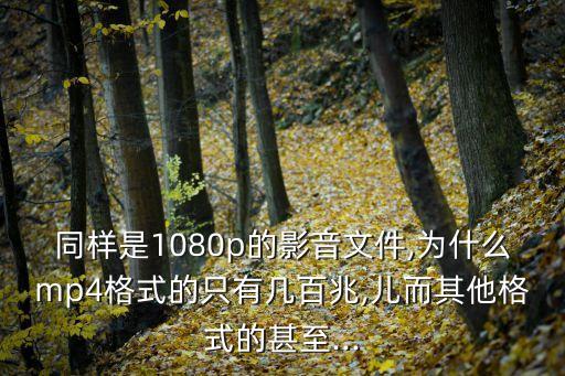 mp4數(shù)據(jù)速率,轉(zhuǎn)換到mp4格式需注意什么?