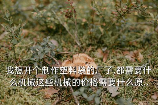 我想開個制作塑料袋的廠子,都需要什么機械這些機械的價格需要什么原...