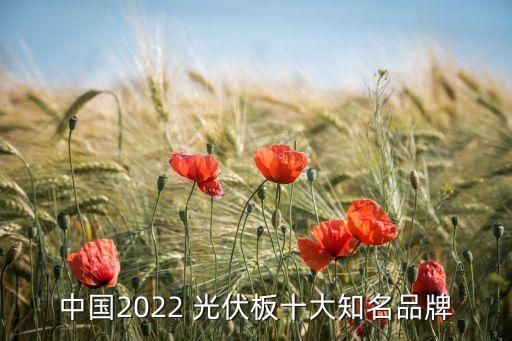 光伏自動(dòng)化新技術(shù)上市公司
