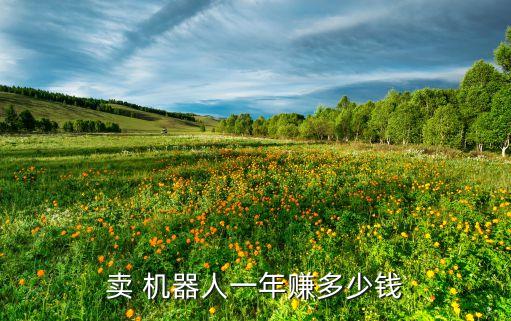 機(jī)器人怎么盈利,蘇州海通機(jī)器人盈利情況