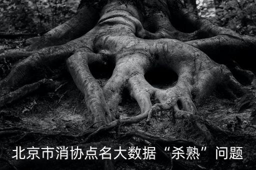 北京市消協(xié)點(diǎn)名大數(shù)據(jù)“殺熟”問(wèn)題