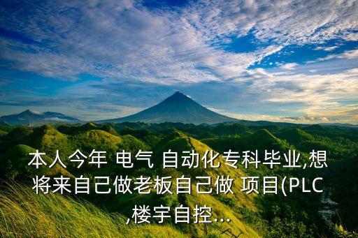本人今年 電氣 自動化?？飘厴I(yè),想將來自己做老板自己做 項目(PLC,樓宇自控...