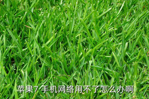  蘋果7 手機網(wǎng)絡(luò)用不了怎么辦啊