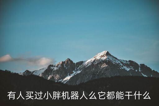 有人買過小胖機器人么它都能干什么