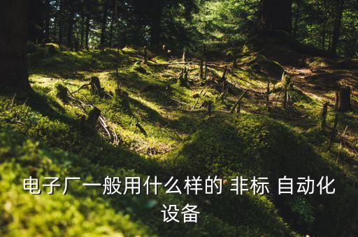 電子廠一般用什么樣的 非標(biāo) 自動化 設(shè)備