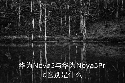 華為Nova5與華為Nova5Pro區(qū)別是什么