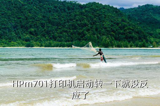 HPm701打印機啟動轉(zhuǎn)一下就沒反應(yīng)了
