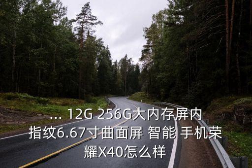 大屏智能手機(jī),新款14promax靈動(dòng)島大屏智能手機(jī)