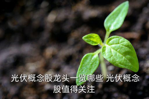  光伏概念股龍頭一覽哪些 光伏概念股值得關(guān)注