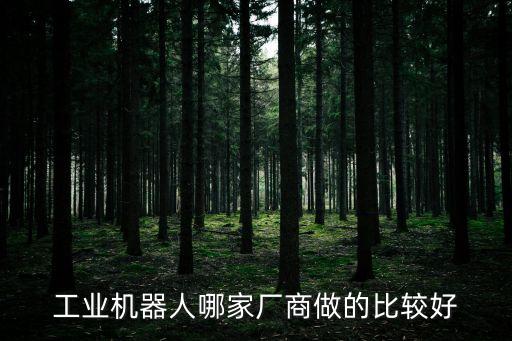 自動(dòng)化哪個(gè)公司好些啊,三明治工業(yè)生產(chǎn)自動(dòng)化流水線哪家好?