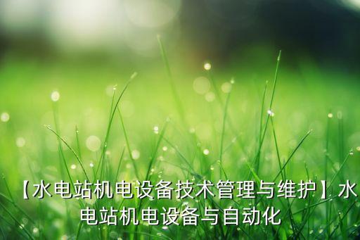 【水電站機(jī)電設(shè)備技術(shù)管理與維護(hù)】水電站機(jī)電設(shè)備與自動(dòng)化