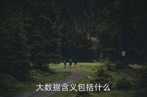 大數(shù)據(jù)含義包括什么