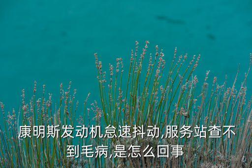 康明斯,麥斯福和康明斯哪個好?答案出爐!