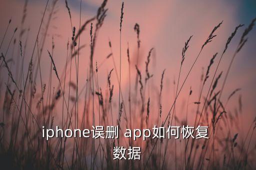 app的數(shù)據(jù)刪除了怎么辦,APP停服數(shù)據(jù)怎么辦