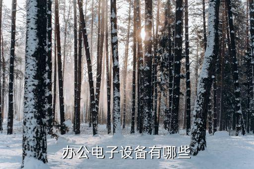 檔案盒自動(dòng)化設(shè)備,匡易檔案涵蓋檔案管理等多個(gè)領(lǐng)域