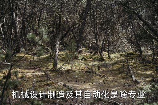 機械設(shè)計制造及其自動化是啥專業(yè)
