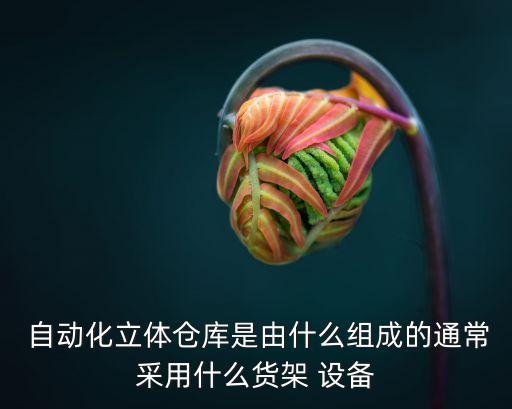  自動化立體倉庫是由什么組成的通常采用什么貨架 設(shè)備