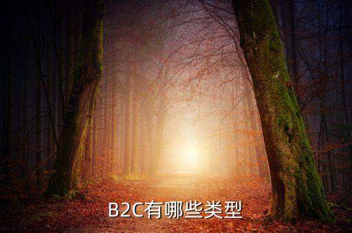 B2C有哪些類型